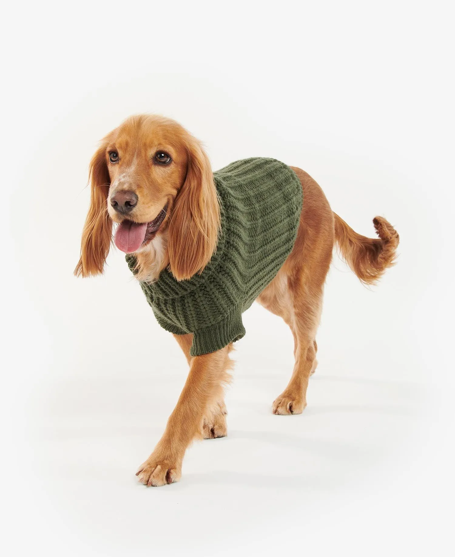 Barbour Saltburn Dog Jumper Olive