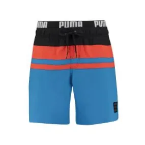 Mens Puma Herritage Shorts