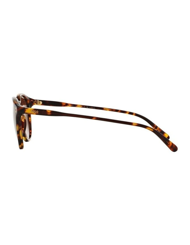 PH4110 Tortoise Polarised Sunglasses