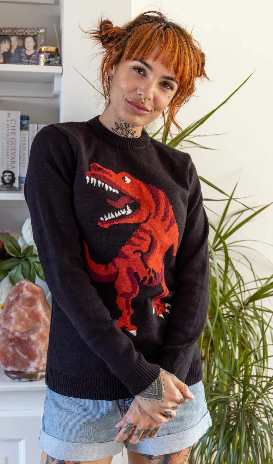 T-Rex jumper - unisex